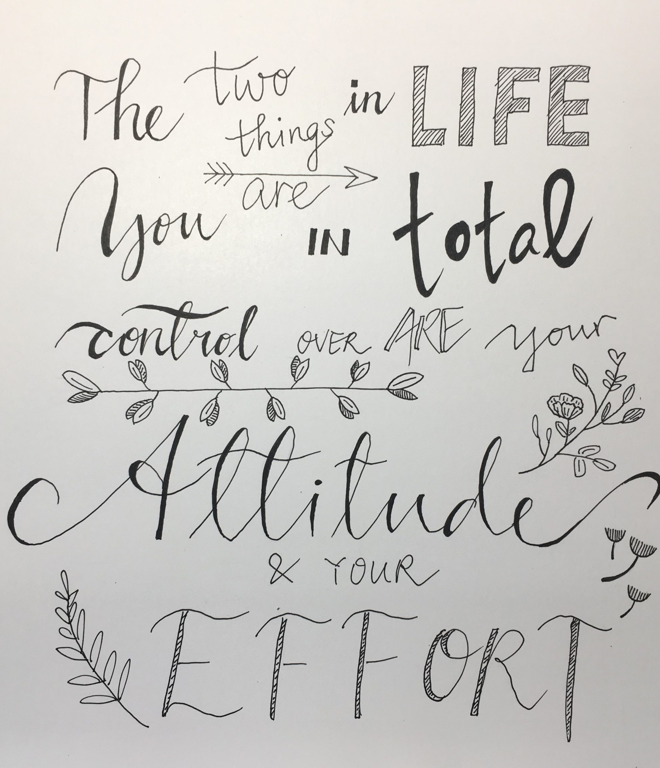 The Two Things in Life You are in Total Control Over are Your Attitude and Your Effort